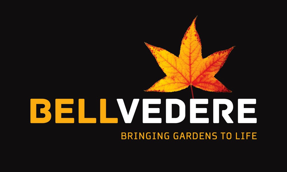 Bellvedere Branding Project